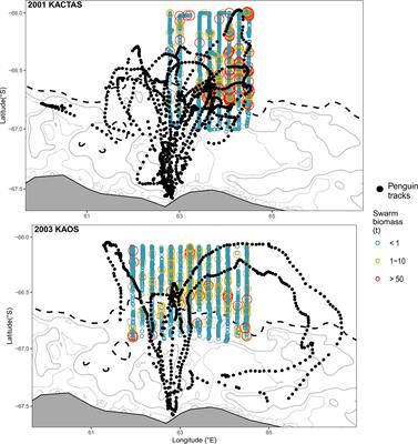 Spatial link between Adélie penguin foraging effort and krill swarm abundance and distribution